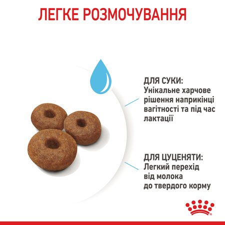 Сухий корм Royal Canin Maxi Starter для цуценят великих порід до 2 місяців 4 кг (3182550778770)