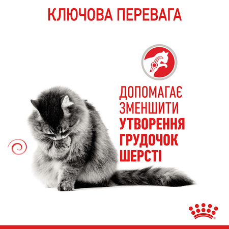 Сухий корм для кішок Royal Canin Hairball Care 10 кг (3182550721424)