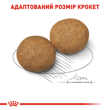 Сухий корм Royal Canin Medium Adult для собак середніх порід 15 кг (3182550402217)