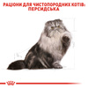 Сухий корм Royal Canin Persian Adult 2 кг (3182550702614)