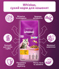 Сухий корм для кошенят Whiskas з куркою 2x14 кг (5900951014369)