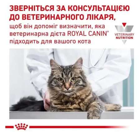 Сухий корм Royal Canin Skin & Coat при дерматозі та випаданні вовни у кішок  3,5 кг (3182550939188)