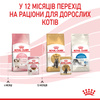 Вологий корм Royal Canin KITTEN INSTINCTIVE IN GRAVY (Соус) для кошенят 85 г (9003579308943)