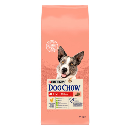 Сухий корм Purina Dog Chow Active Adult для собак з підвищеною активністю з куркою 14 кг (7613034487933)