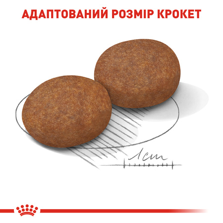 Сухий корм Royal Canin Medium Adult 7+ для дорослих собак середніх порід 4 кг (3182550708203)