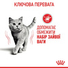 Вологий корм для дорослих котів Royal Canin Light Weight Care шматочки в соусі 85 г (9003579308769)