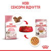 Вологий корм Royal Canin Kitten in Jelly для кошенят 85г (9003579311714)