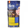 Сухий корм Brit Premium Dog Junior M для цуценят та юніорів середніх порід 15 кг (8595602526338)