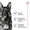 Сухий корм Royal Canin MAXI AGEING 8+ для старіючих собак Великих порід 15 кг (3182550803113)