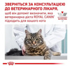 Сухий корм Royal Canin Skin & Coat при дерматозі та випаданні вовни у кішок  3,5 кг (3182550939188)