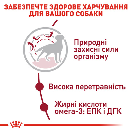 Сухий корм Royal Canin Medium Adult для собак середніх порід 15 кг (3182550402217)