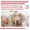 Сухий корм для собак Royal Canin Neutered Adult Medium Dogs 3,5 кг (3182550761840)