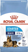 Сухий корм Royal Canin Maxi Starter для цуценят великих порід до 2 місяців 4 кг (3182550778770)