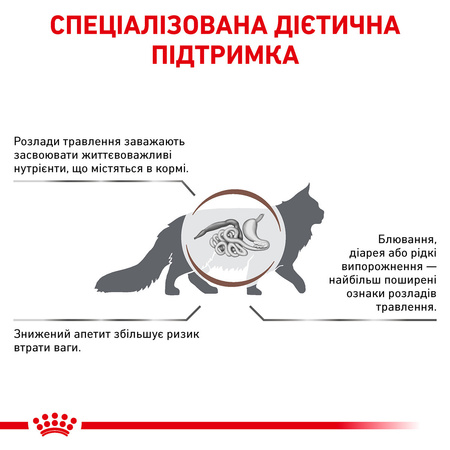 Сухий корм для дорослих кішок Royal Canin Gastro Intestinal Cat 2 кг (3182550771252)