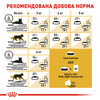 Сухий корм Royal Canin Persian Adult 2 кг (3182550702614)